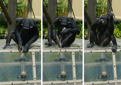写真7. 綿のヒモを道具として使う