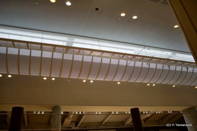 12-DSC00807