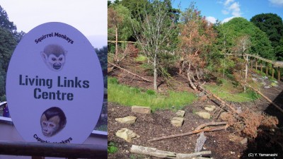 Livinglinks
