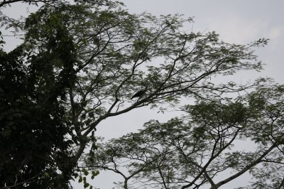 5F3A0149