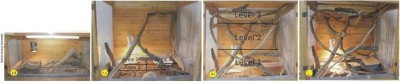 dragon_vivarium