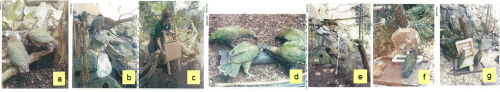 kea_enrichment_pic
